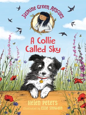 cover image of A Collie Called Sky